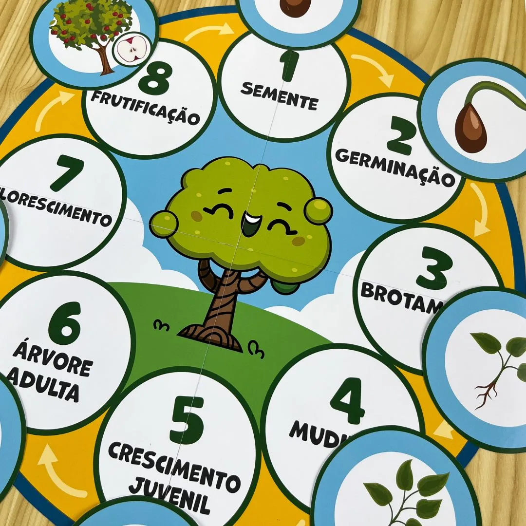 O-Ciclo-de-Vida-da-Arvore-1.jpg